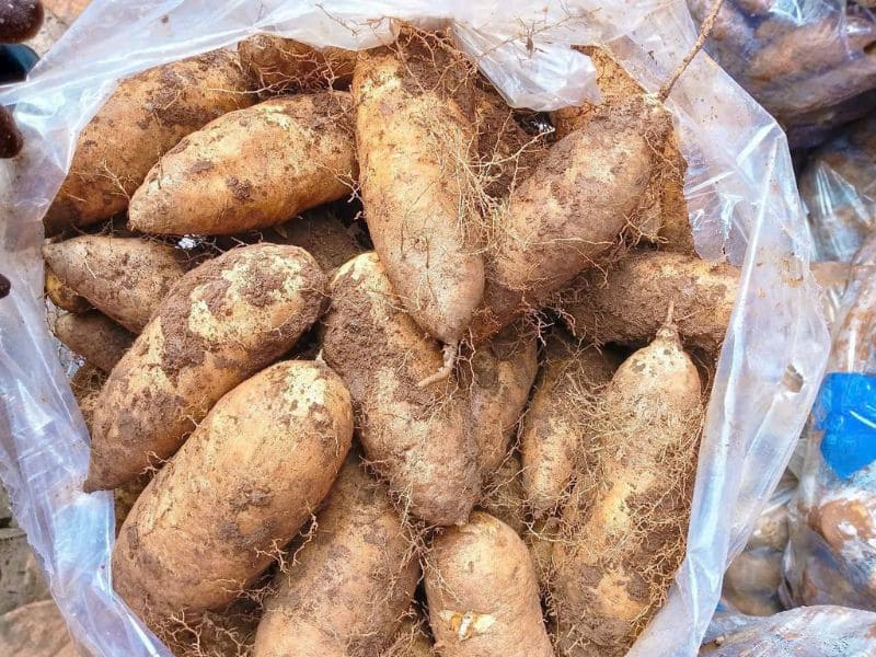 thac-mac-cac-loai-khoai