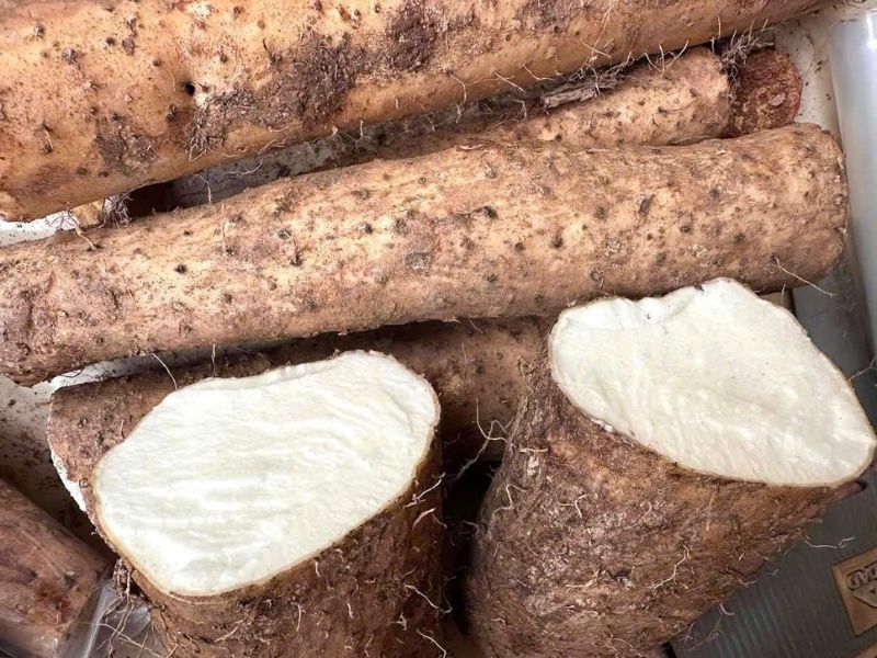 tim-hieu-cac-loai-khoai