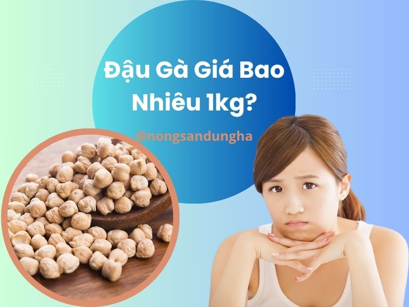 dau-ga-gia-bao-nhieu