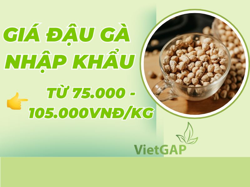 goc-thac-mac-dau-ga-gia-bao-nhieu
