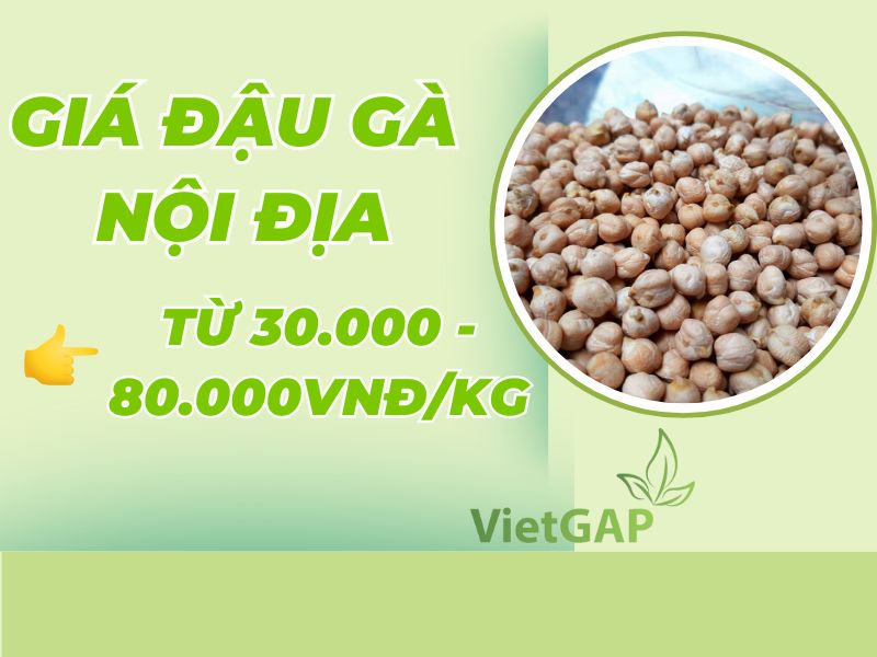 thac-mac-dau-ga-gia-bao-nhieu