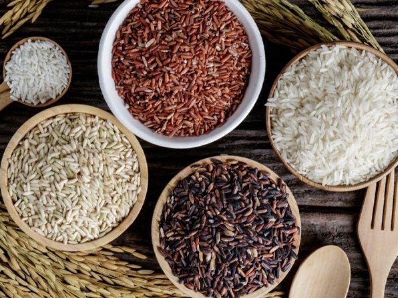 tim-hieu-gia-gao-lut-hom-nay-bao-tien-1kg