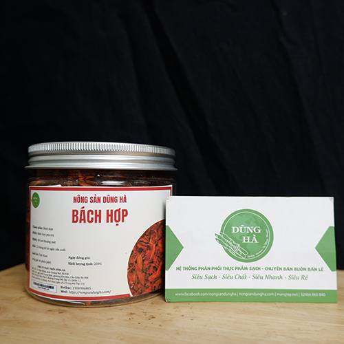 bach-hop