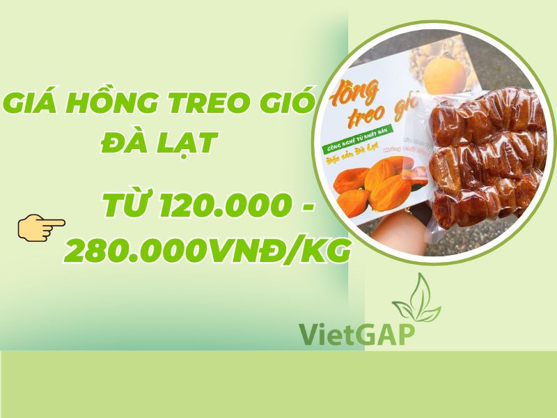 gia-hong-treo-gio-da-lat-hom-nay