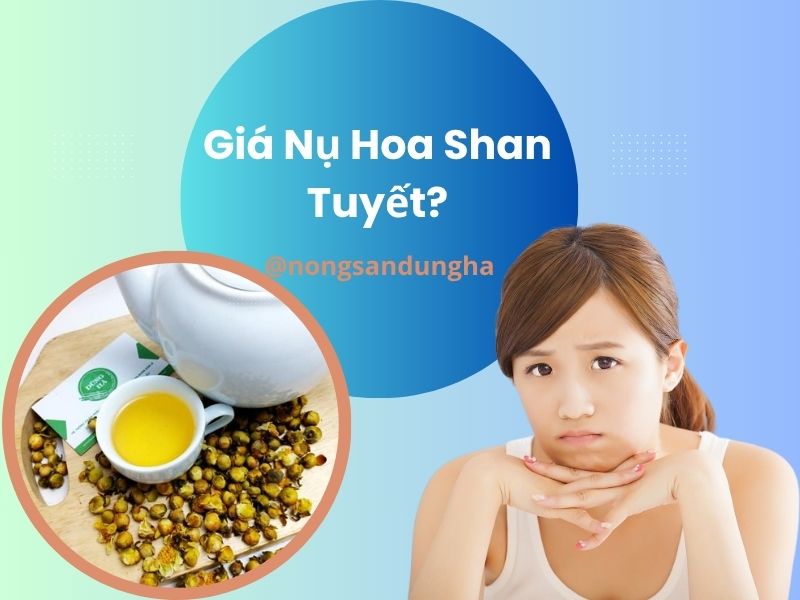gia-nu-hoa-shan-tuyet