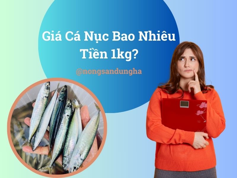 gia-ca-nuc-bao-tien-1kg