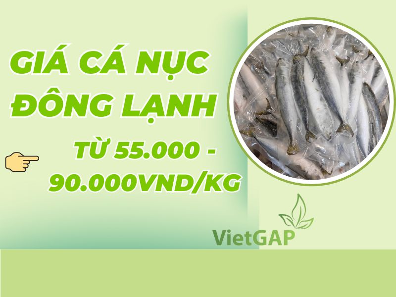 gia-ca-nuc-dong-lanh-hom-nay