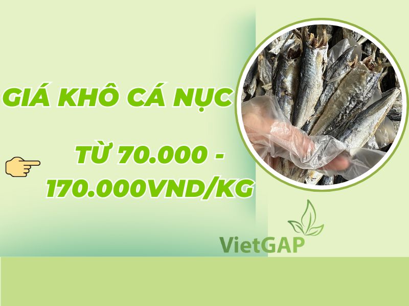 gia-kho-ca-nuc