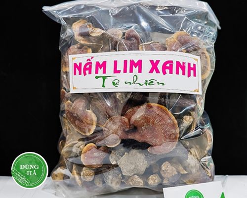 nam-lim-xanh-rung-Dung-Ha