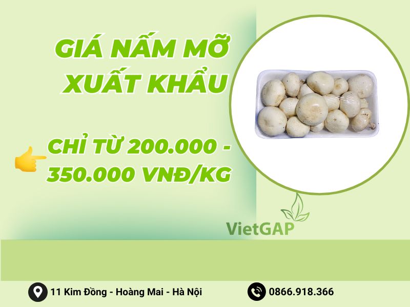 gia-nam-mo-xuat-khau