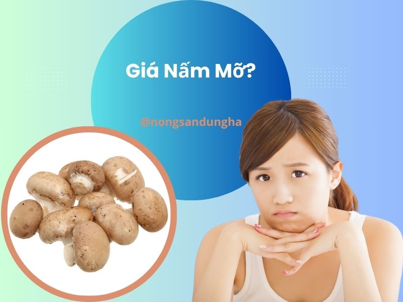 gia-nam-mo