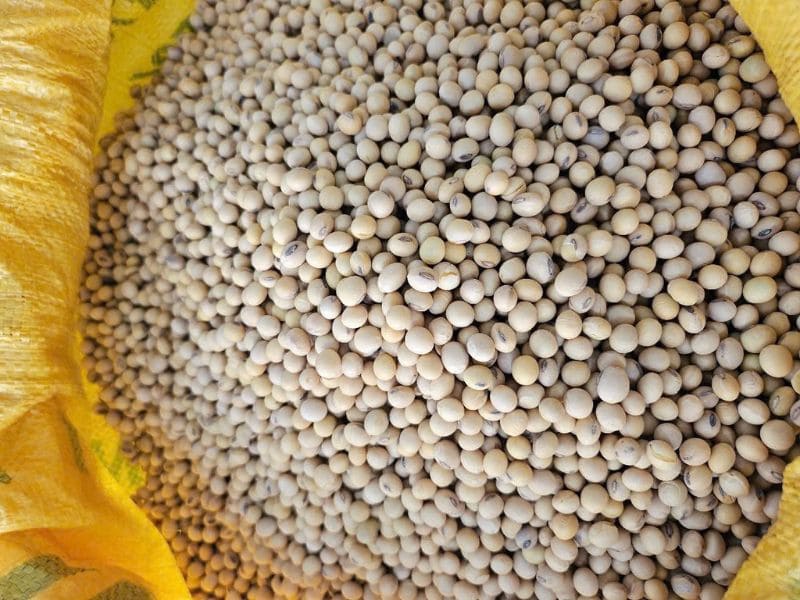 goc-ban-khoan-dau-nanh-co-tac-dung-gi