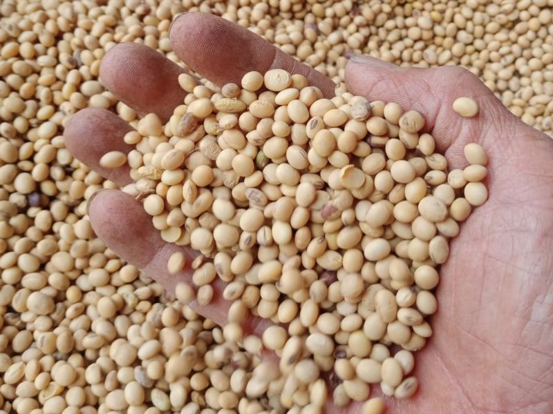 thac-mac-dau-nanh-co-tac-dung-gi