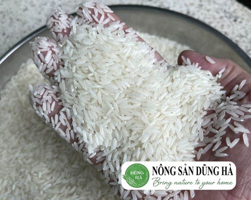 1kg-gao-bac-huong-gia-bao-nhieu-hom-nay-2024