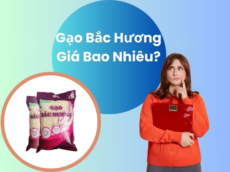 gao-bac-huong-gia-bao-nhieu-1kg