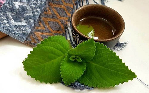 gia-la-hung-chanh-kho
