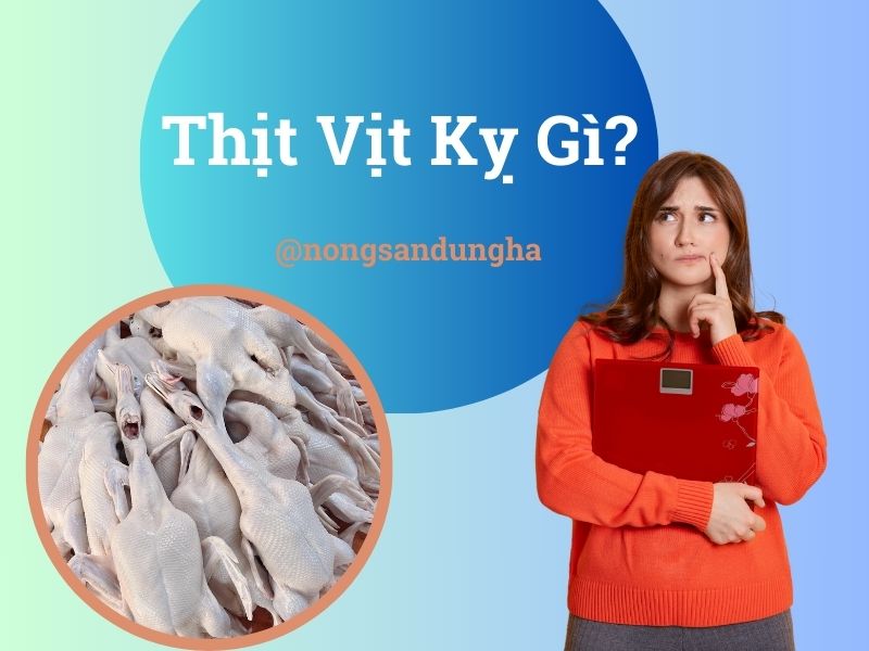 thit-vit-ky-gi