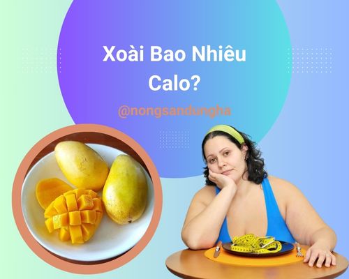 xoai-bao-nhieu-calo