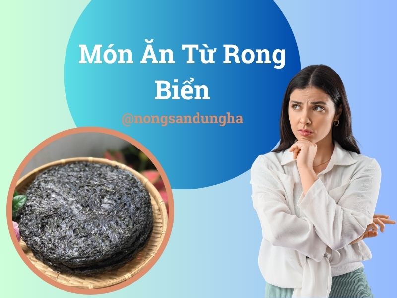 [ TOP ] Các món ăn từ rong biển ngon nhất 2023 bạn nên biết