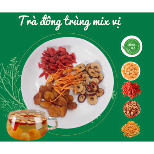 trà đông trùng mix