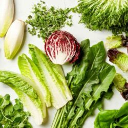 cac-loai-rau-xa-lach