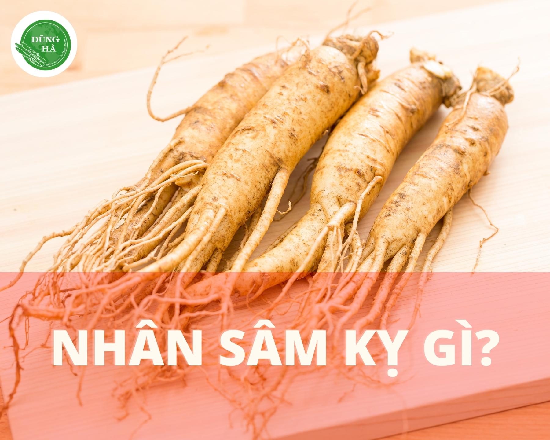 nhan-sam-ky-gi