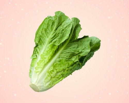 xa-lach-romaine