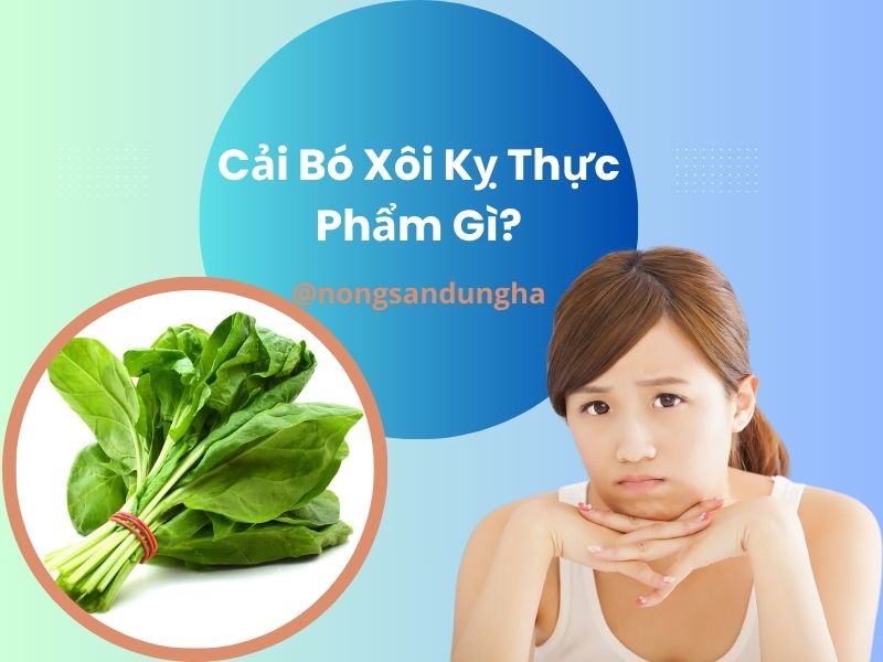 cai-bo-xoi-ky-thuc-pham-gi