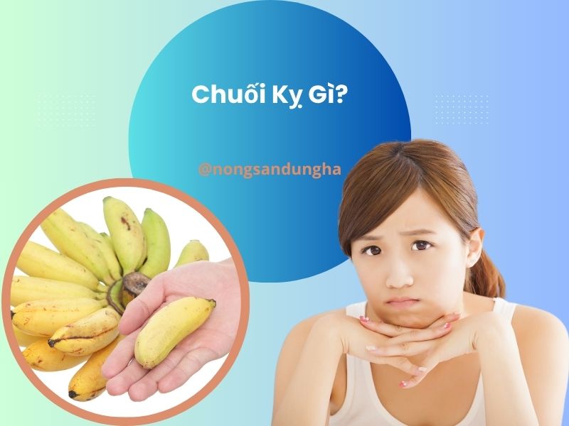 chuoi-ky-gi