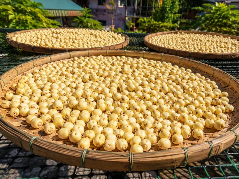 bat-mi-cach-bao-quan-hat-sen-tuoi
