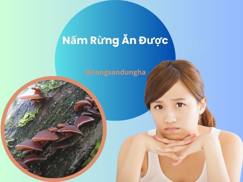 nam-rung-an-duoc