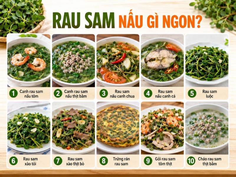 Rau sam nấu gì ngon? 10+ món ngon thanh nhiệt từ rau sam