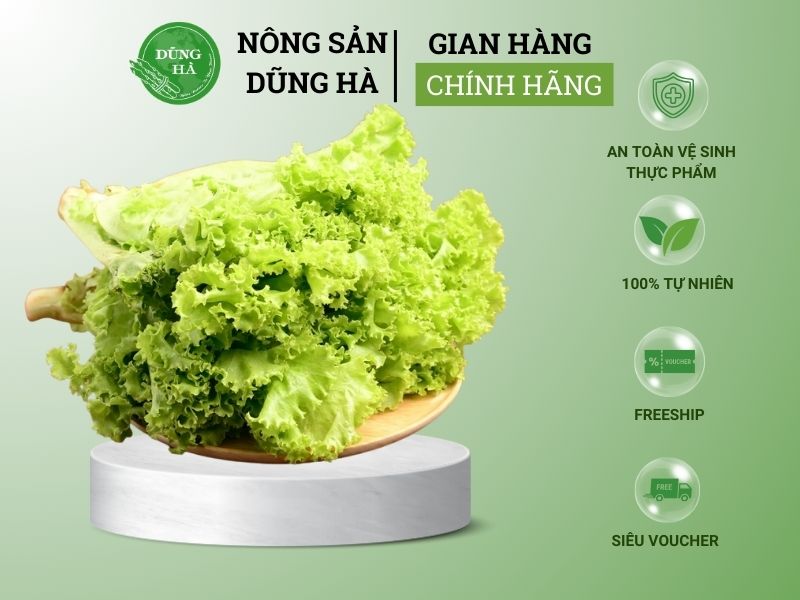 tim-hieu-gia-rau-xa-lach-hom-nay-bao-tien-1kg