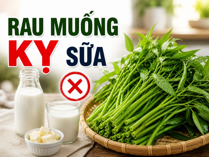 goc-bat-mi-rau-muong-ky-gi