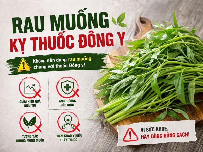 goc-thac-mac-rau-muong-ky-gi
