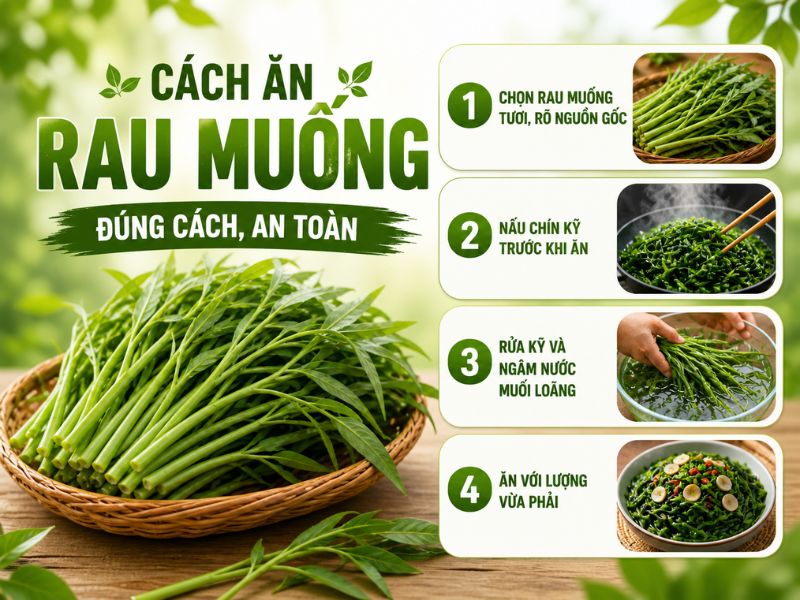 goc-tim-hieu-rau-muong-ky-gi