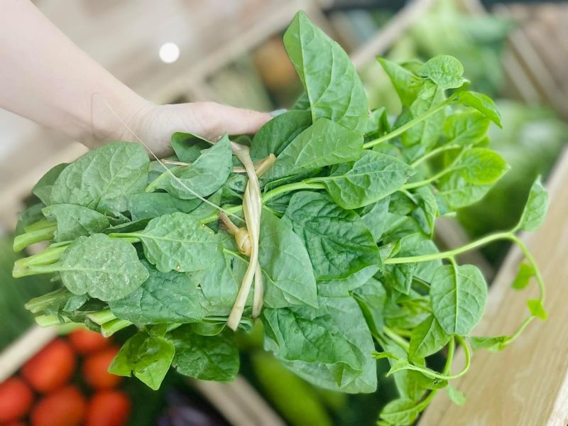 thac-mac-rau-mong-toi-ky-voi-gi