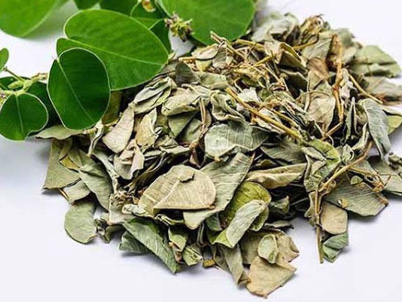 Tra-kim-tien-thao