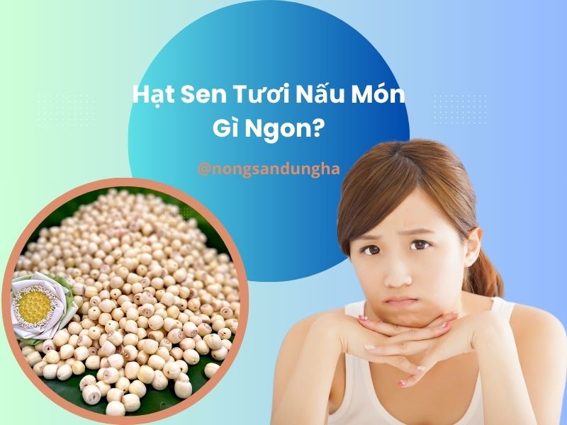 hat-sen-tuoi-nau-mon-gi-ngon