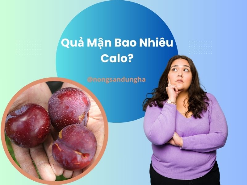 qua-man-bao-nhieu-calo