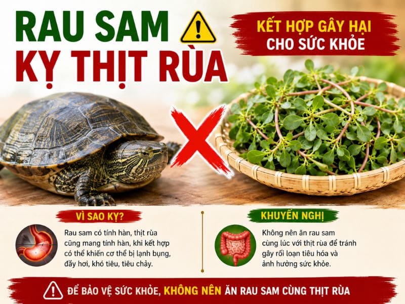 goc-bat-mi-rau-sam-ky-voi-gi