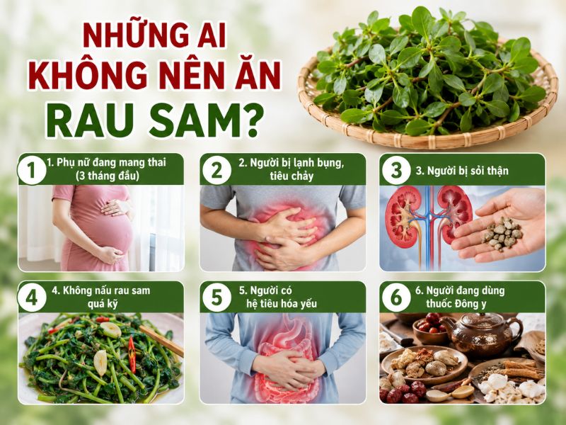 goc-thac-mac-rau-sam-ky-voi-gi