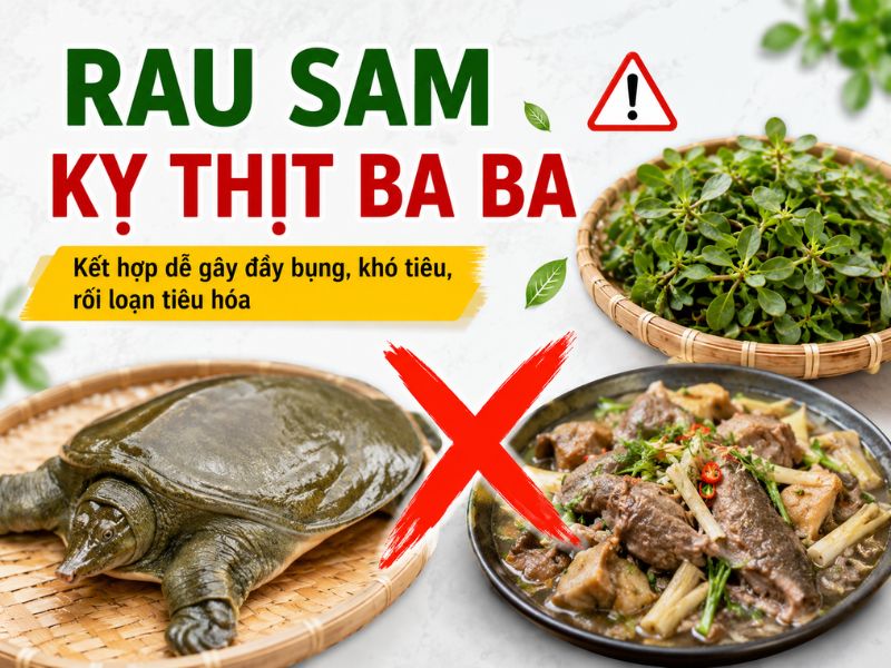 goc-tim-hieu-rau-sam-ky-voi-gi