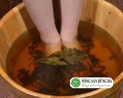 ngam-chan-truoc-khi-di-ngu-bang-rau-ngai-cuu