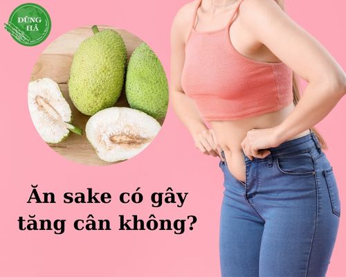 an-sake-co-tang-can-khong