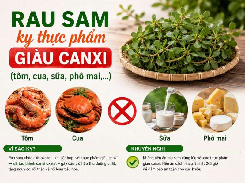 tim-hieu-rau-sam-ky-voi-gi