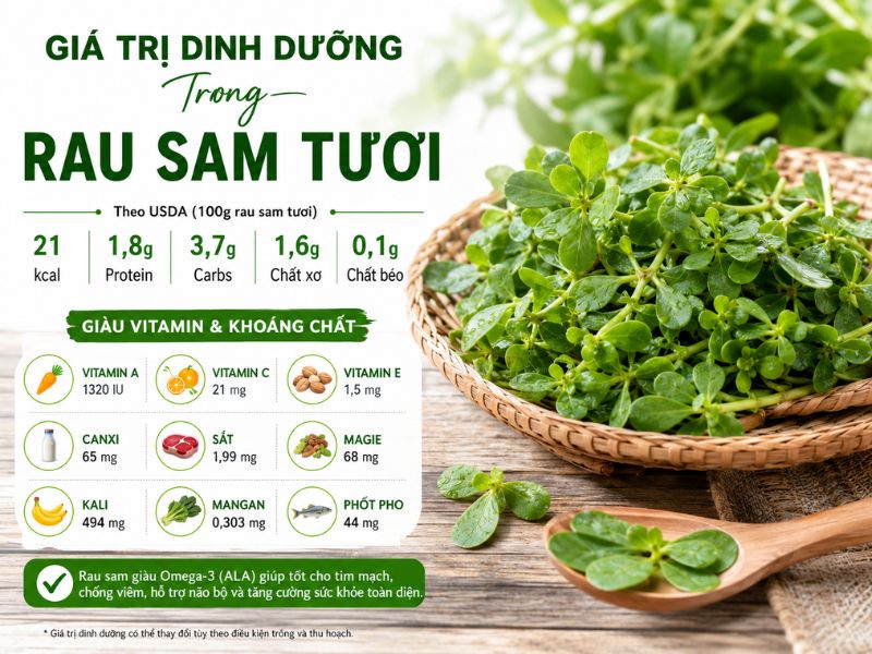 tra-loi-rau-sam-ky-voi-gi