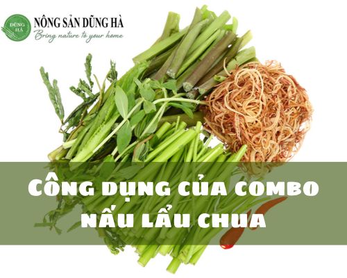 cong-dung-cua-combo-lau-chua