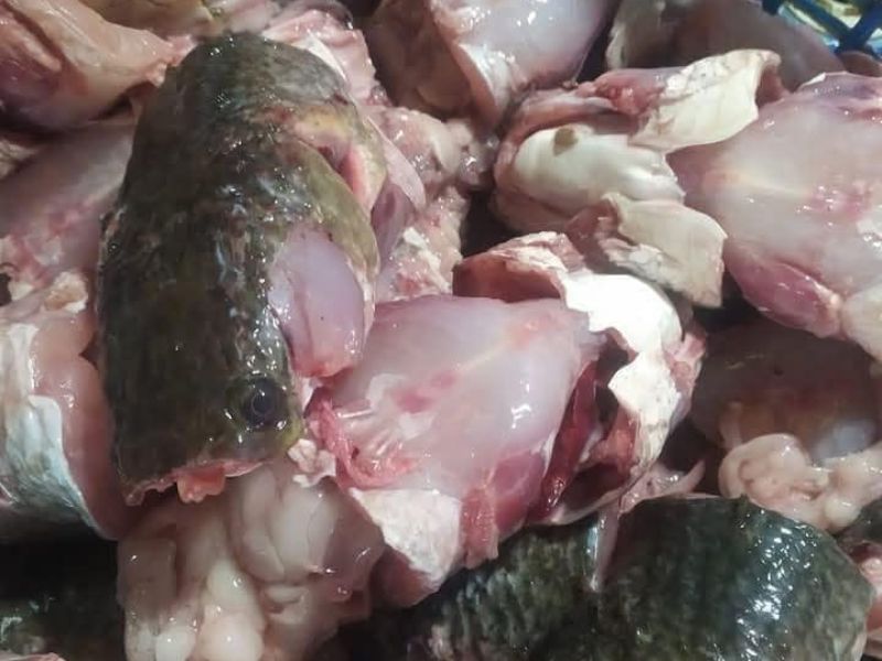 dau-ca-loc-bao-nhieu-calo