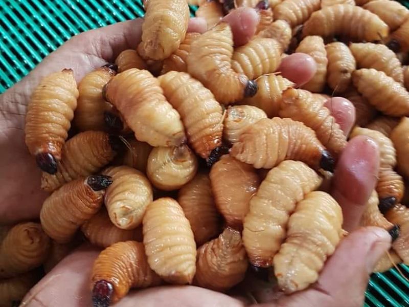 1kg-duong-dua-gia-bao-nhieu